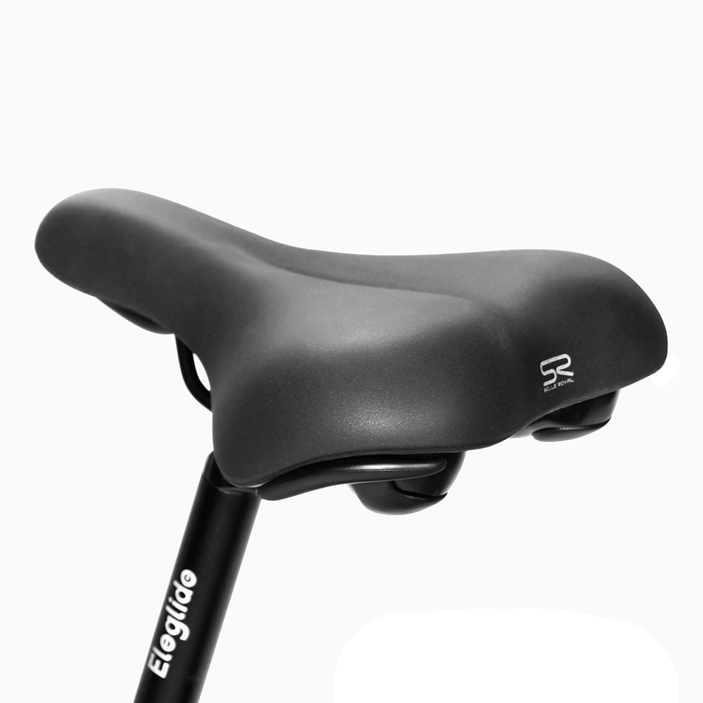 Eleglide T1 Step-Thru 250W Trekking Bike 100 KM Range 36V 13Ah Battery - PicarlyRide