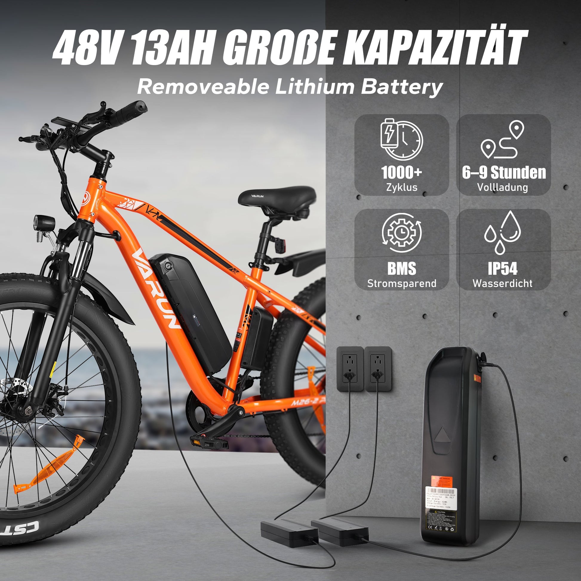 Bicicleta-eléctrica-VARUN-M26-2-PRO-con-motor-de-250W
