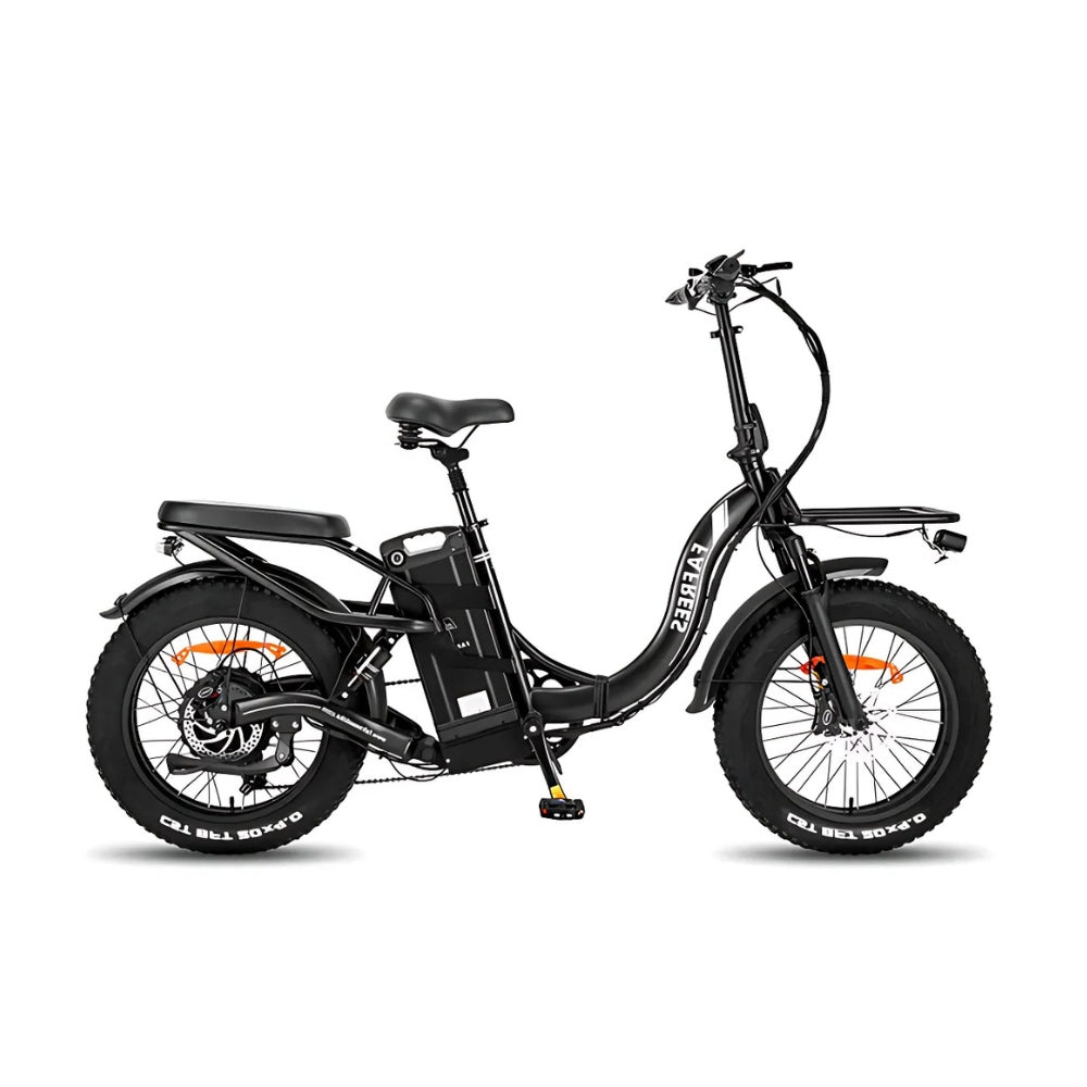Fafrees F20 X-Max 750W Motor Electric Folding Fat Tire Bike 140km Range 48V 30Ah Battery 25km/h Speed