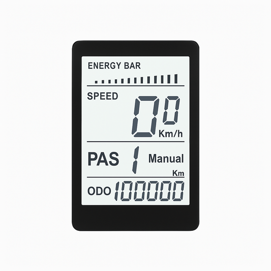 Electric Bike Display - PicarlyRide