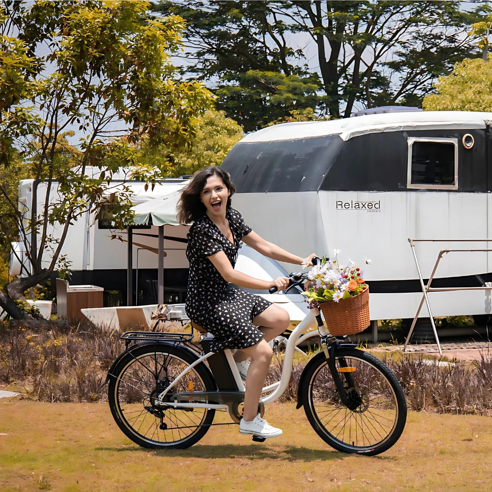 City-electric-bike-DYU-C6-with-350W-motor-and-60-KM-range