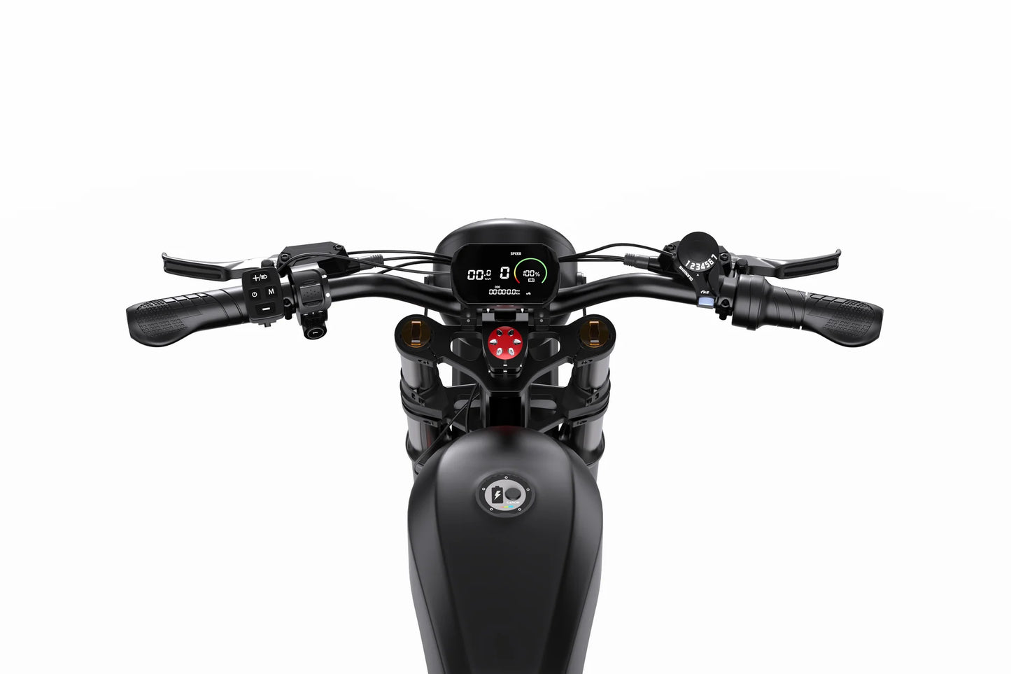 DUOTTS F20 Retro Electric Bike With Advanced Features