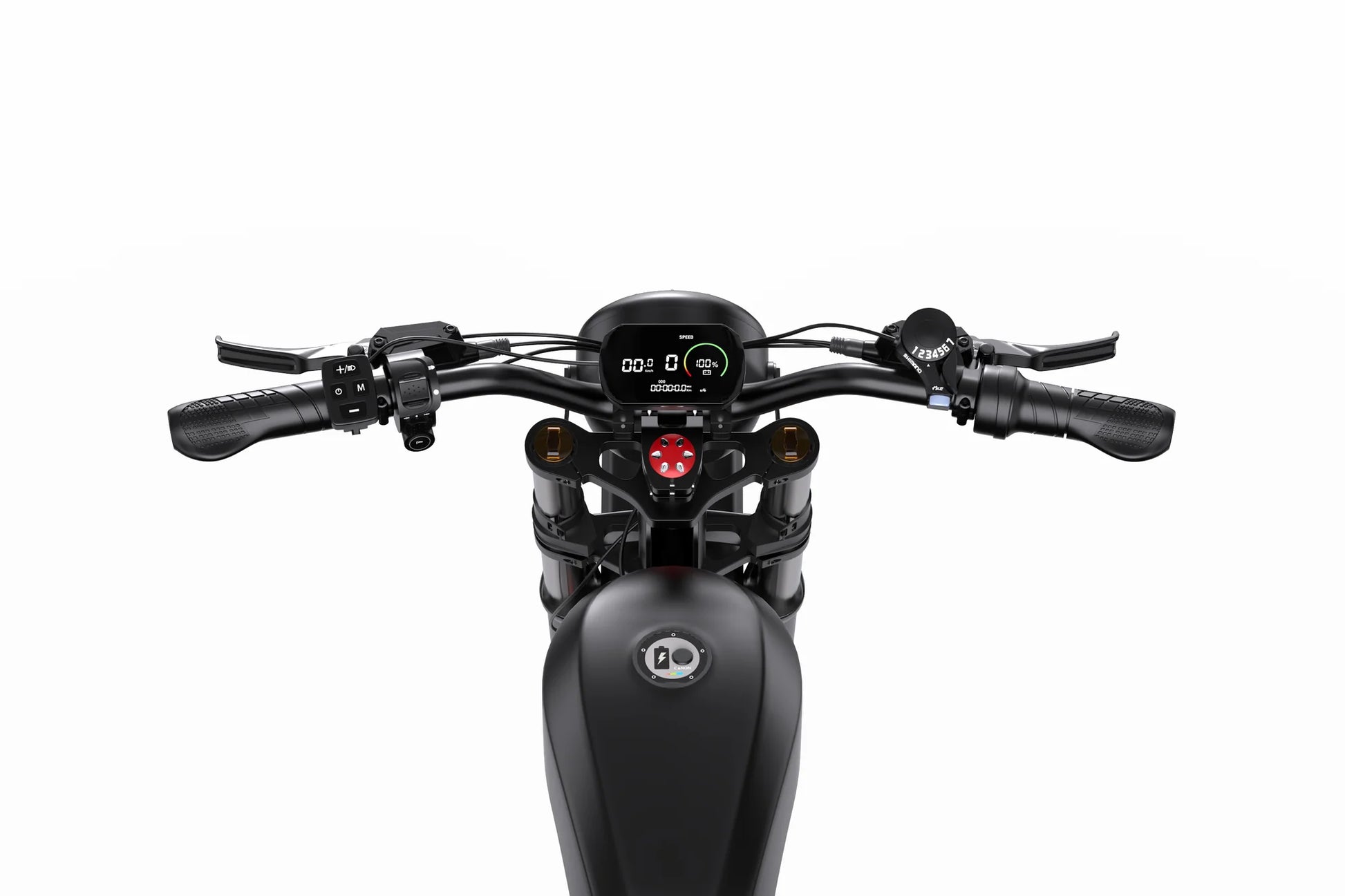 DUOTTS F20 Retro Electric Bike With Advanced Features