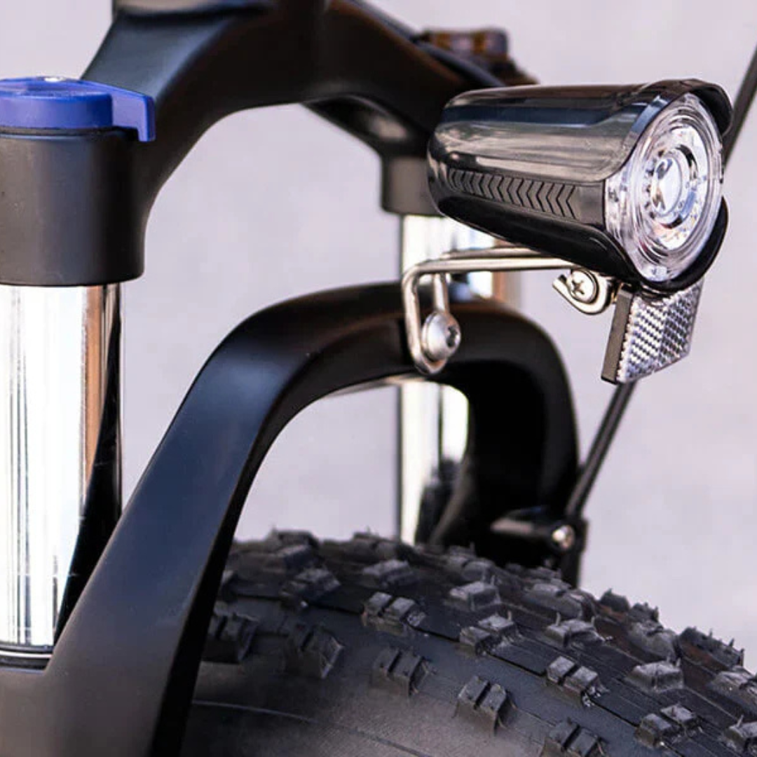 Rear Taillight