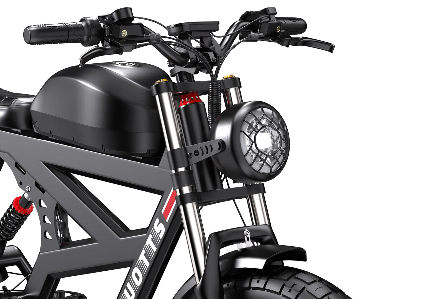 Duotts F20 Retro Electric Bicycle with Modern Power