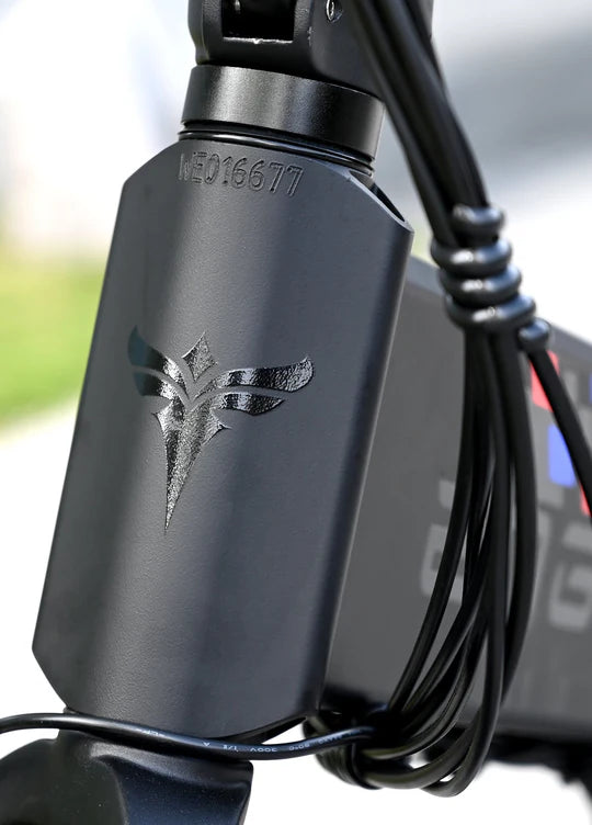 ENGWE-Engine-X-250W-klappbares-elektro-bike-mit-vollfederung-und-100-km-reichweite