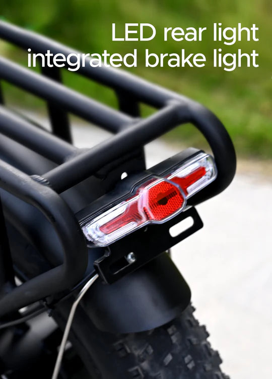 ENGWE-Engine-X-bici-elettrica-250W-plegable-con-sospensione-completa-e-100-km-di-autonomia