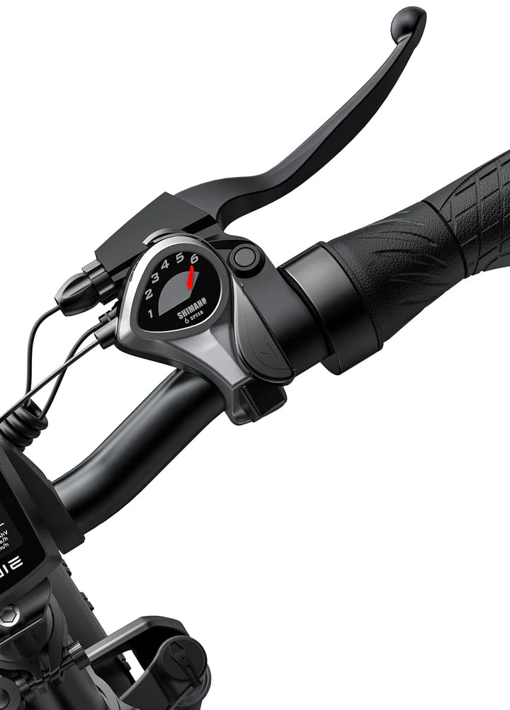 Ep 2 Pro Fat Tire 120 km Long Range Max Speed 25 km/h Front Suspension Foldable Electric Bike - PicarlyRide