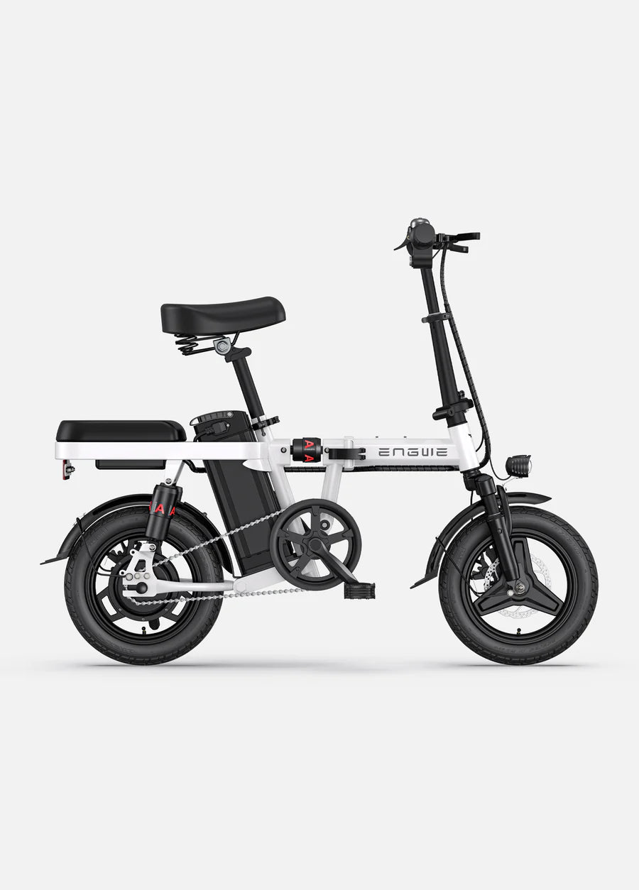 Elektrofahrrad-ENGWE-T14-250W-nabenmotor-klappbar-mit-multifederung