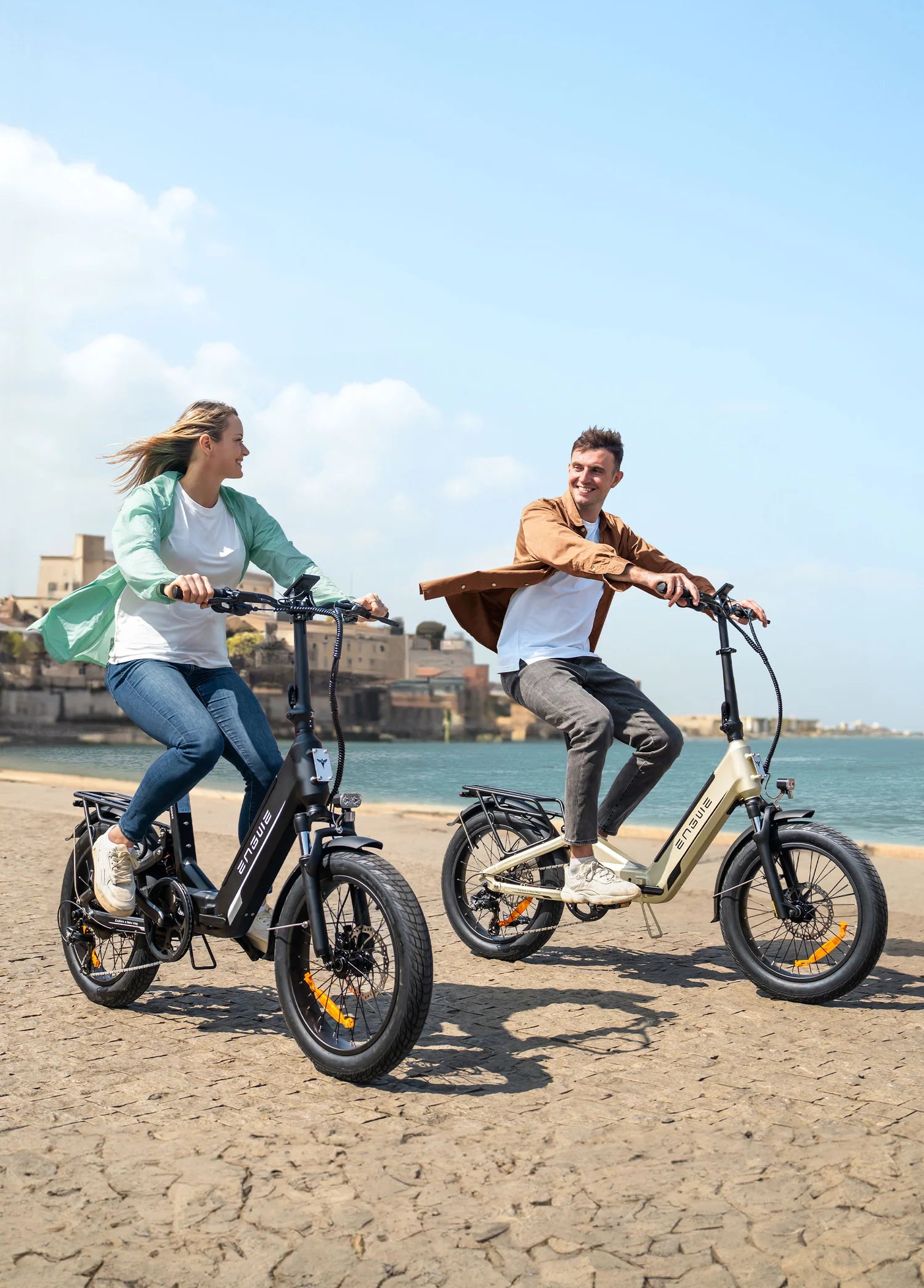 Engwe L20 3.0 Boost 250W 75Nm Full Suspension Compact Electric Bike 120KM Range 48V 13.5Ah Battery - PicarlyRide