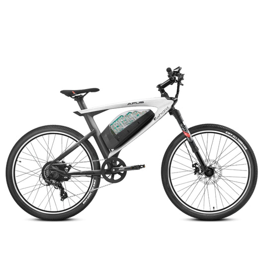 EAHORA  APUS 750W Urban Electric Bike 70–73 Miles Range 48V 20Ah 960Wh Battery - PicarlyRide