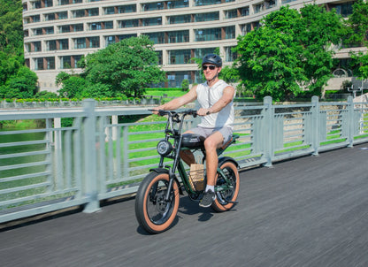 M20 1000W Electric Bike-Street Legal Electric Bike