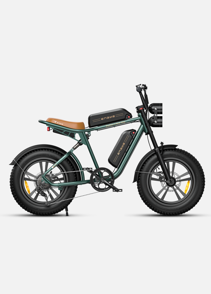 ENGWE M20 750W 75 km + 75 km Dual Suspension Long Range E-bike - PicarlyRide