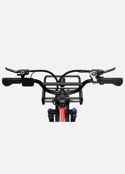 ENGWE L20 250W 140 km Max Speed 25 km/h Front Suspension Step-Thru E-bike - PicarlyRide