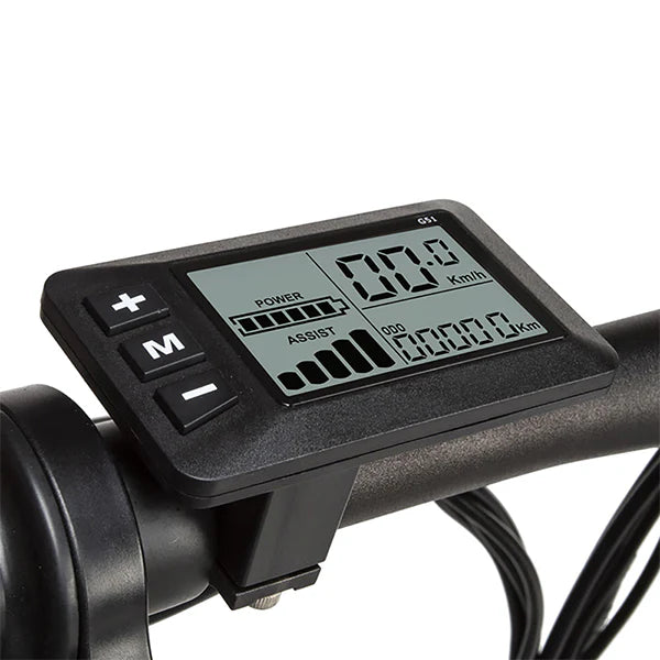 e-bike LCD display