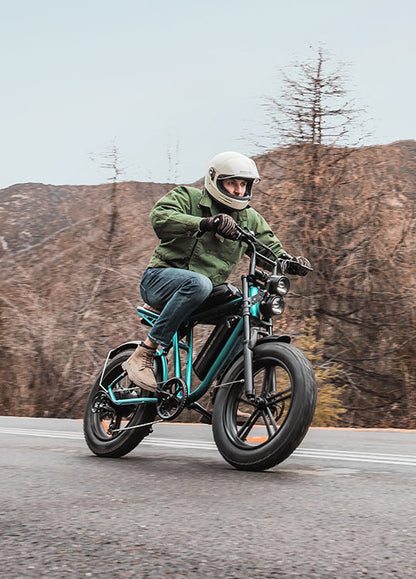 ENGWE M20 750W 75 km + 75 km Dual Suspension Long Range E-bike - PicarlyRide