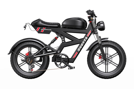 DUOTTS F20 Electric Bike