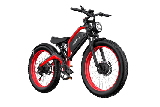 DUOTTS N26 Electric Bike