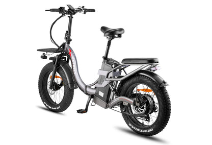 FAFREES-F20-X-Max-750W-elektro-bike-mit-30AH-batterie-20x4-pneumatische-fat-reifen-und-150KG-max-belastung