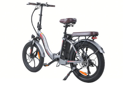 Fafrees F20 Pro: Fat-tire E-bike