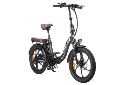 Fafrees F20 Pro: Fat-tire E-bike