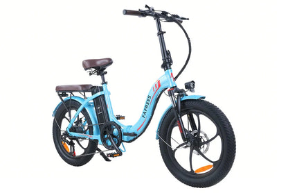 Fafrees F20 Pro: Fat-tire E-bike