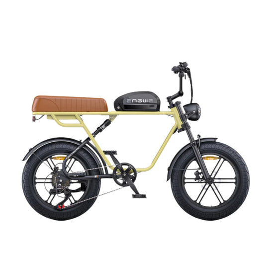 ENGWE M1 EU-Standard 65Nm Torque Dual Passenger Motorcycle-styled E-bike