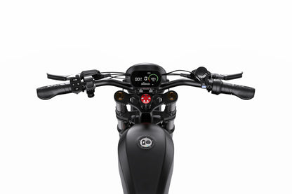 DUOTTS F20 Electric Bike