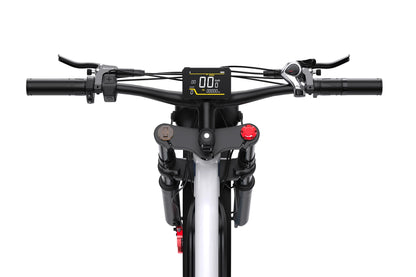 DUOTTS N26 Electric Bike