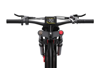 DUOTTS N26 Electric Bike