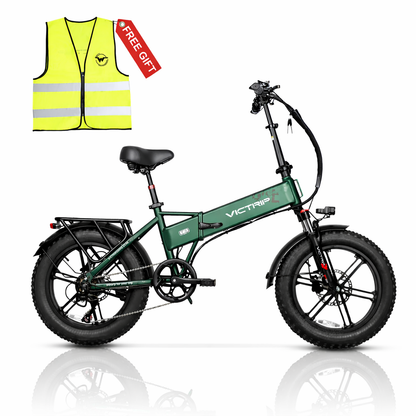 Bici elettrica pieghevole Victrip T5 fat tire per città e pendolari, batteria 720Wh 48V 15Ah, motore 250W, autonomia fino a 80 km PAS, 65 km throttle, e-bike compatta lunga distanza, velocità 25 km/h, ricarica rapida 4-5 ore